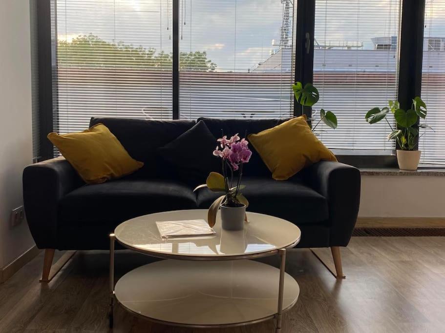 Ladny Apartament W Centrum Krakowa Z Tarasem. Kültér fotó