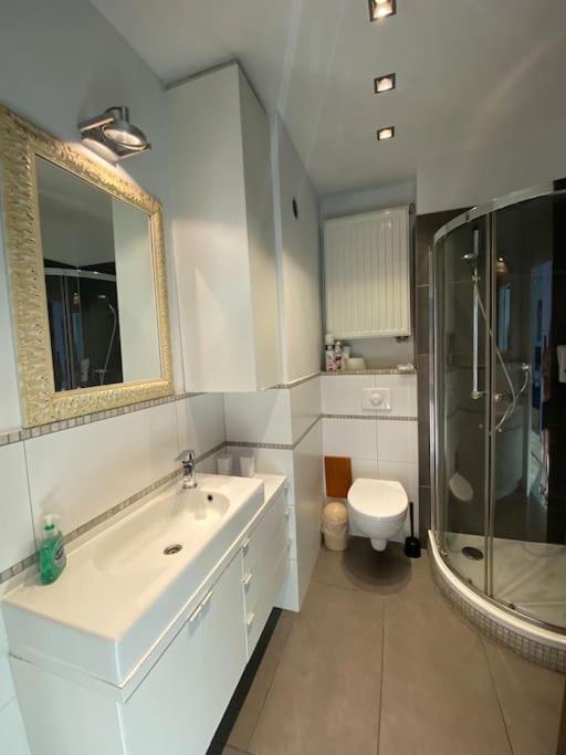 Ladny Apartament W Centrum Krakowa Z Tarasem. Kültér fotó